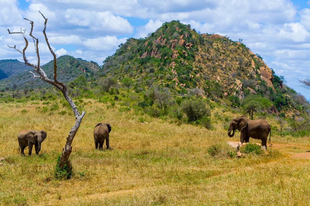 Ngulia Safari Lodge Tsavo エクステリア 写真